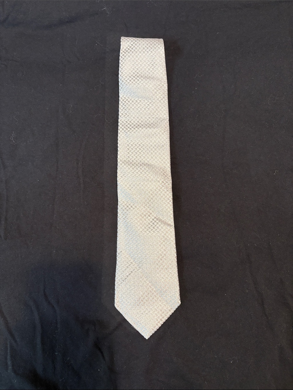 Escada Silver Textured Men's Tie